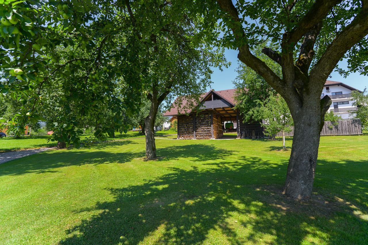 Hotel Zupancicev Hram Dragatuš Exterior foto